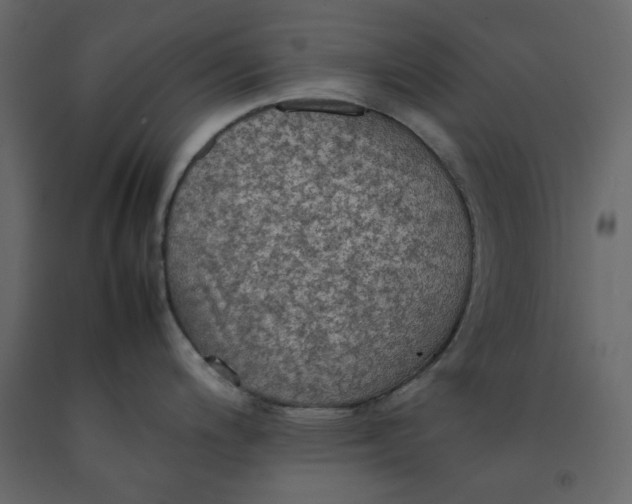X0000092221200200710051152