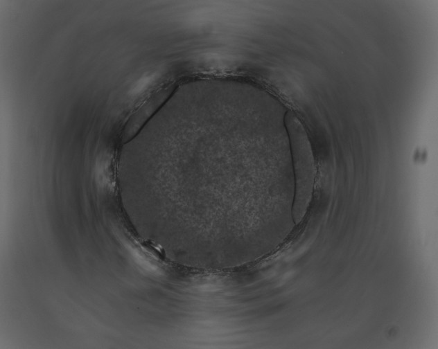 X0000092221202200710051151