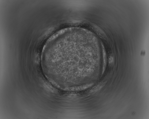 X0000092221204200710051151