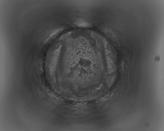 X0000092221205200710051151