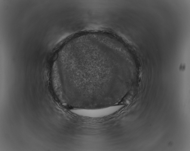 X0000092221206200710051151