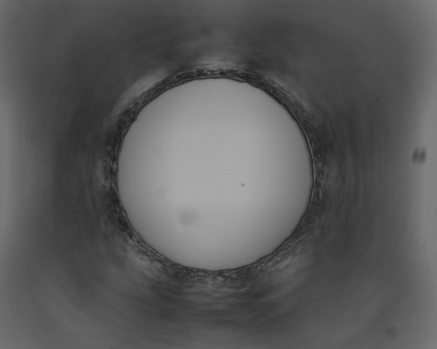 X0000092221207200710051151