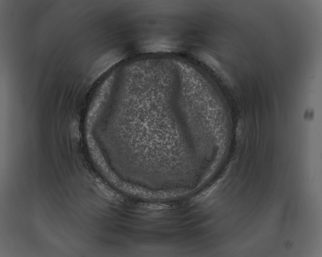 X0000092221209200710051151