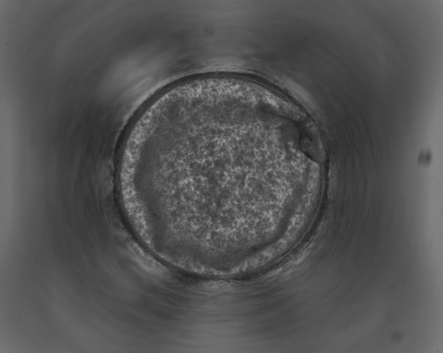 X0000092221212200710051151