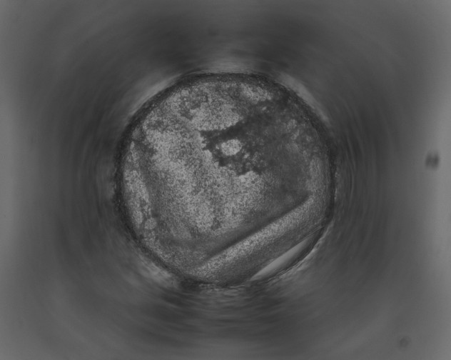 X0000092221213200710051151