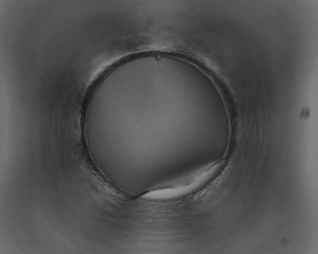 X0000092221214200710051151