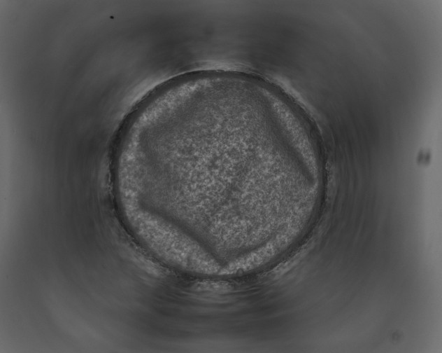 X0000092221215200710051151