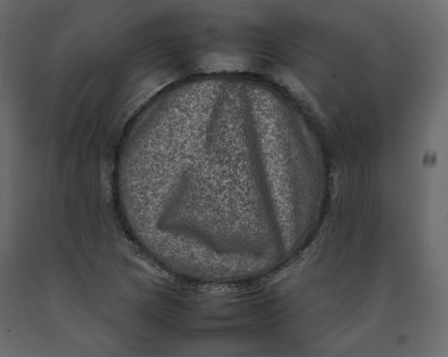 X0000092221217200710051151