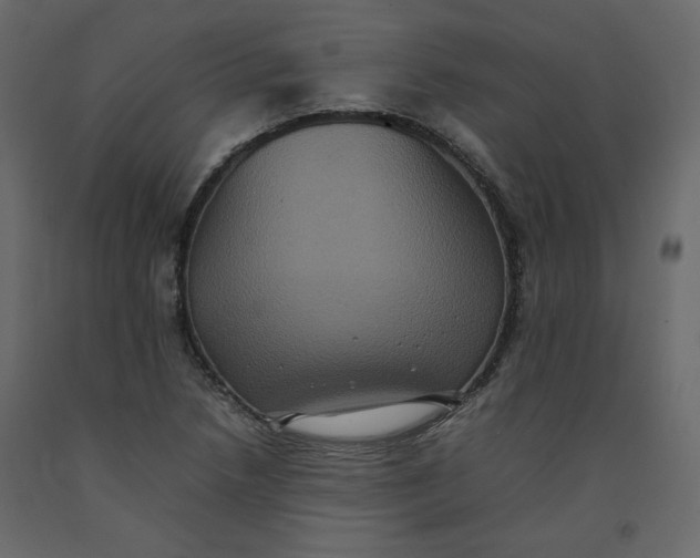 X0000092221218200710051151