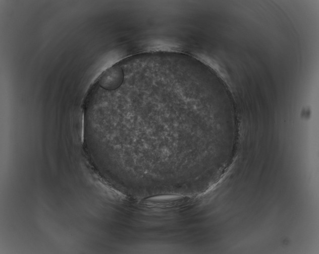 X0000092221219200710051151