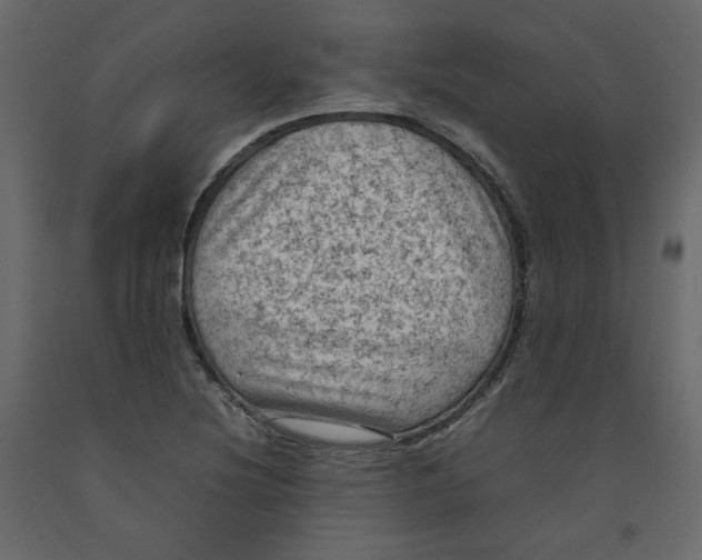 X0000092221220200710051151