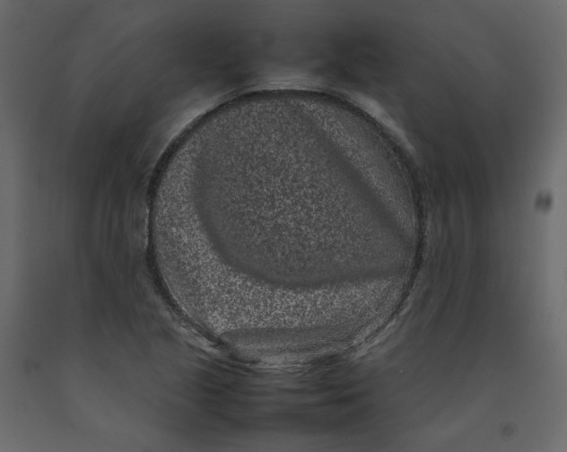 X0000092221221200710051151