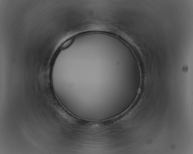 X0000092221222200710051151