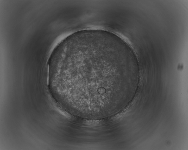 X0000092221223200710051151