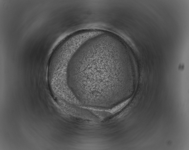 X0000092221224200710051151
