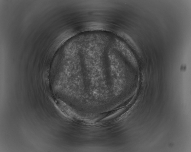 X0000092221225200710051151