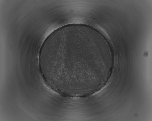 X0000092221226200710051151