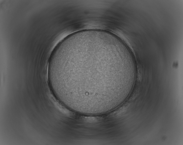 X0000092221227200710051151