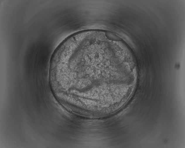 X0000092221228200710051151