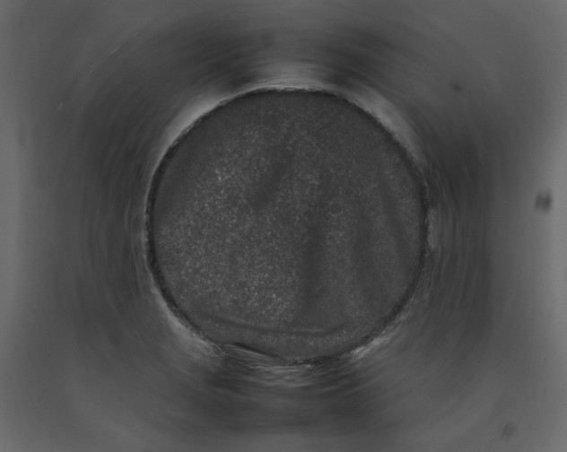 X0000092221229200710051151