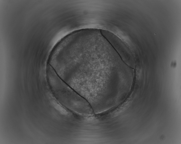 X0000092221230200710051151