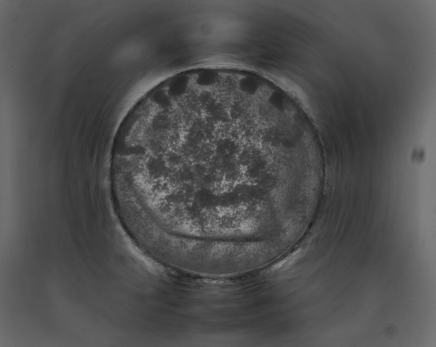 X0000092221231200710051151
