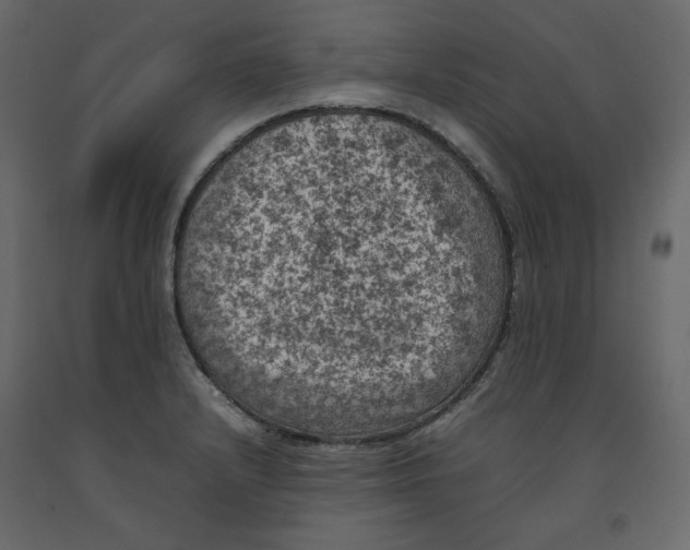 X0000092221232200710051151