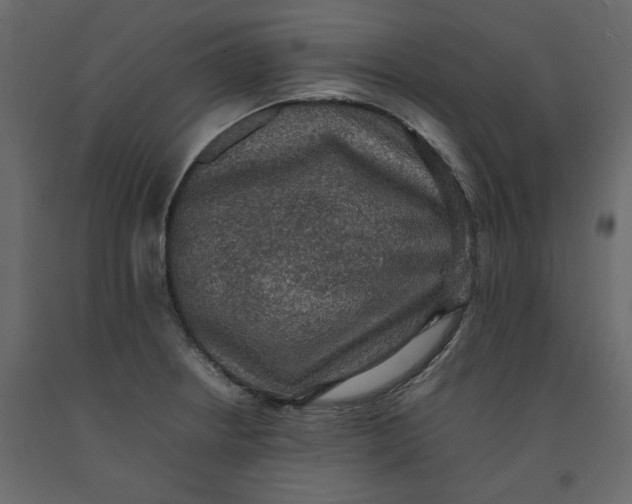 X0000092221234200710051151