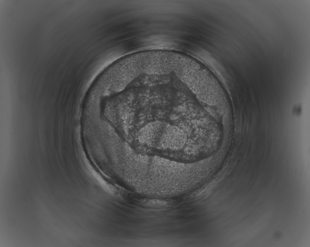 X0000092221235200710051151
