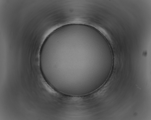 X0000092221238200710051151
