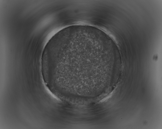 X0000092221239200710051151