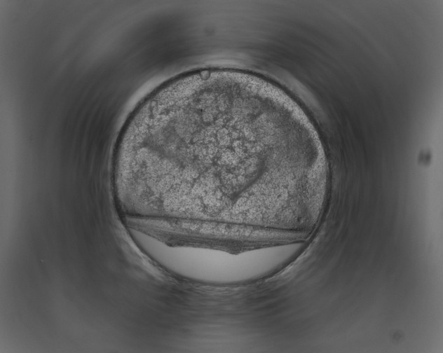 X0000092221240200710051151