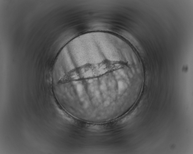 X0000092221241200710051151