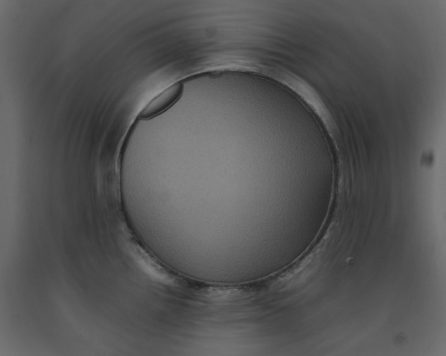 X0000092221242200710051151