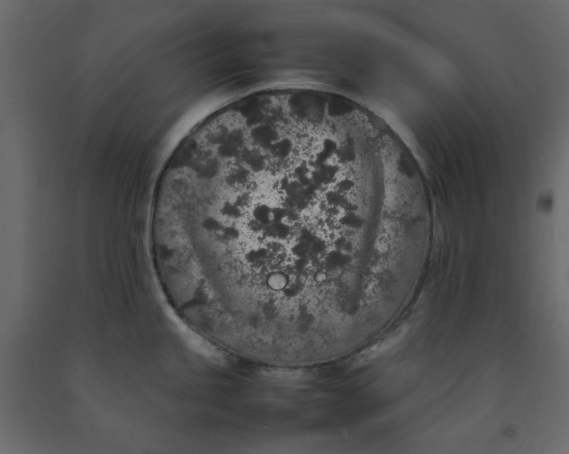 X0000092221245200710051151