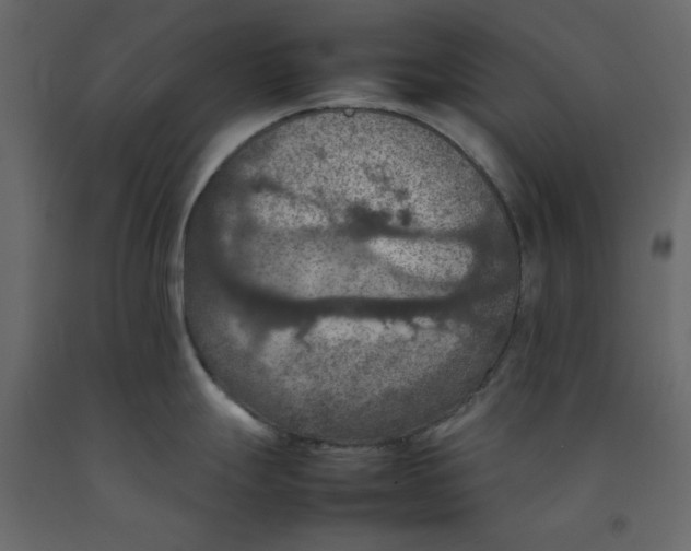 X0000092221247200710051151