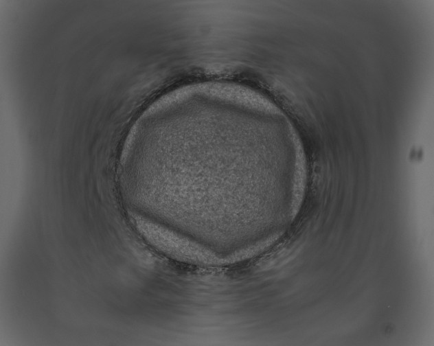 X0000092221249200710051151