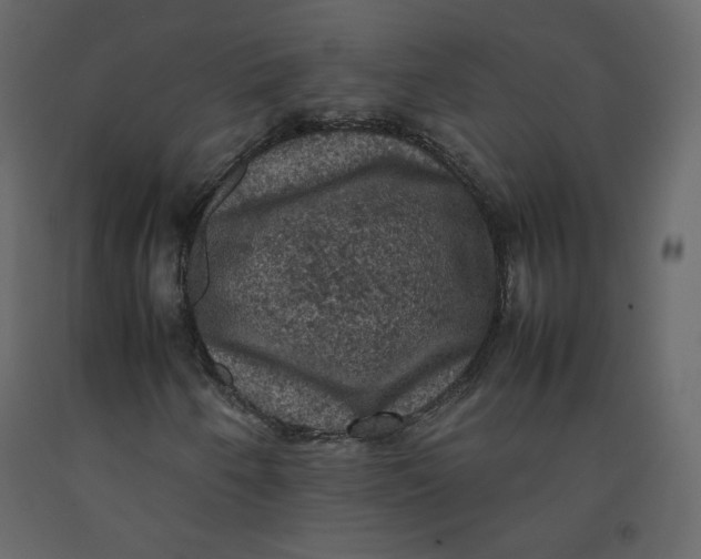 X0000092221250200710051151