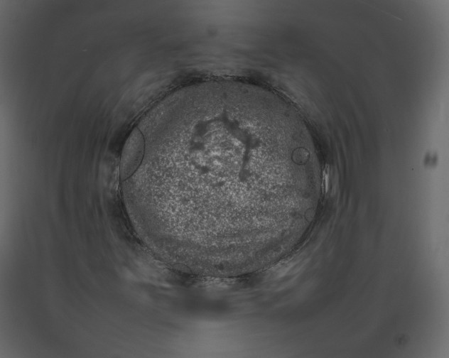 X0000092221251200710051151