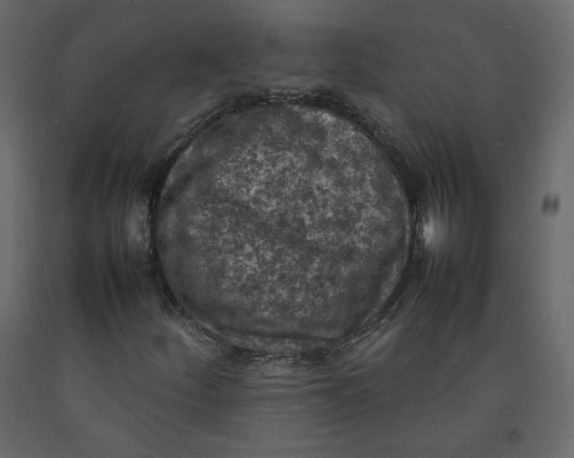 X0000092221252200710051151