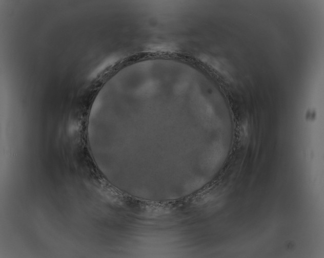 X0000092221254200710051151