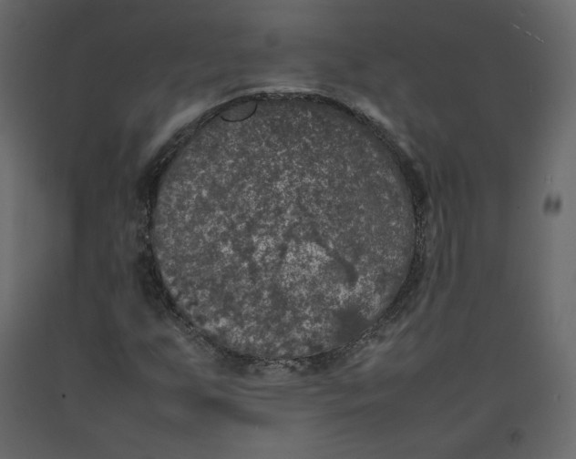 X0000092221255200710051151