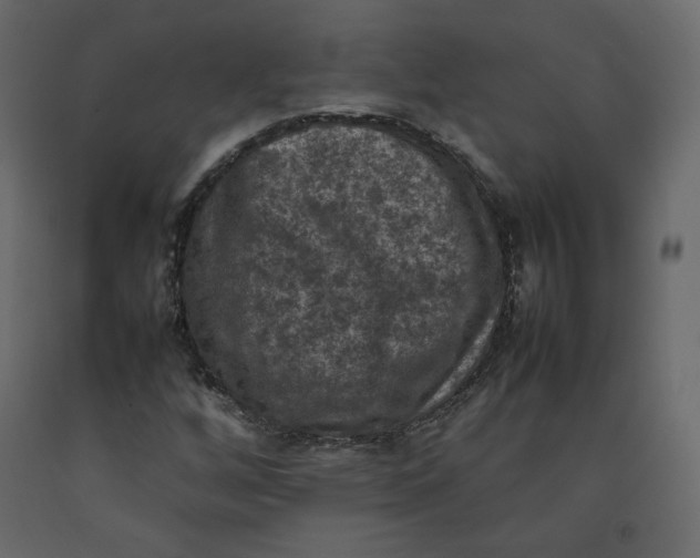X0000092221256200710051151