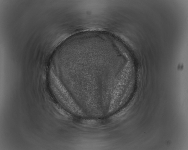 X0000092221257200710051151