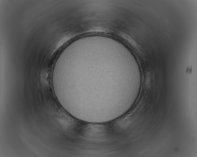 X0000092221258200710051151