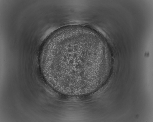 X0000092221259200710051151