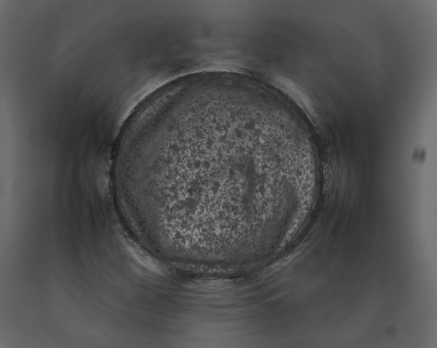 X0000092221260200710051151
