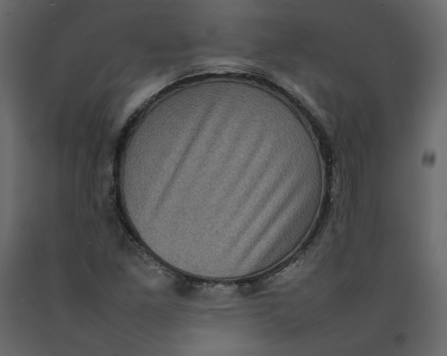 X0000092221261200710051151