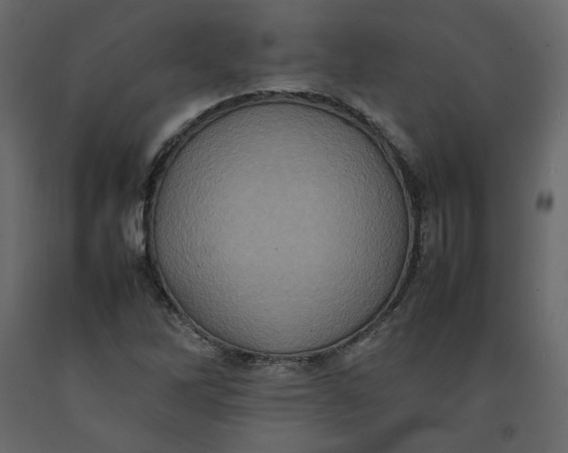 X0000092221262200710051151