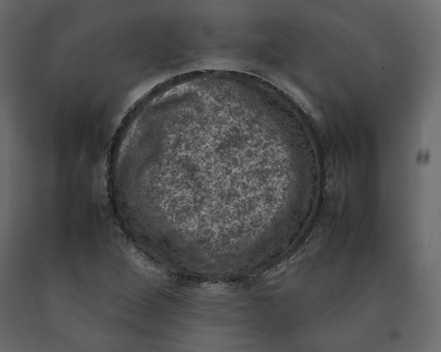 X0000092221264200710051151